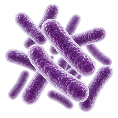 Lactobacillus plantarum C83114