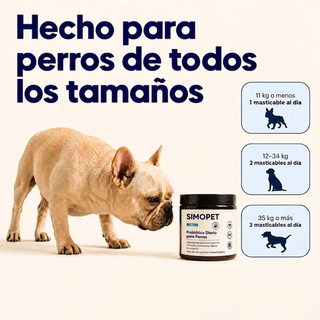 Probiótico para Perros SIMOPET® — Anti Picazón y Piel Sana